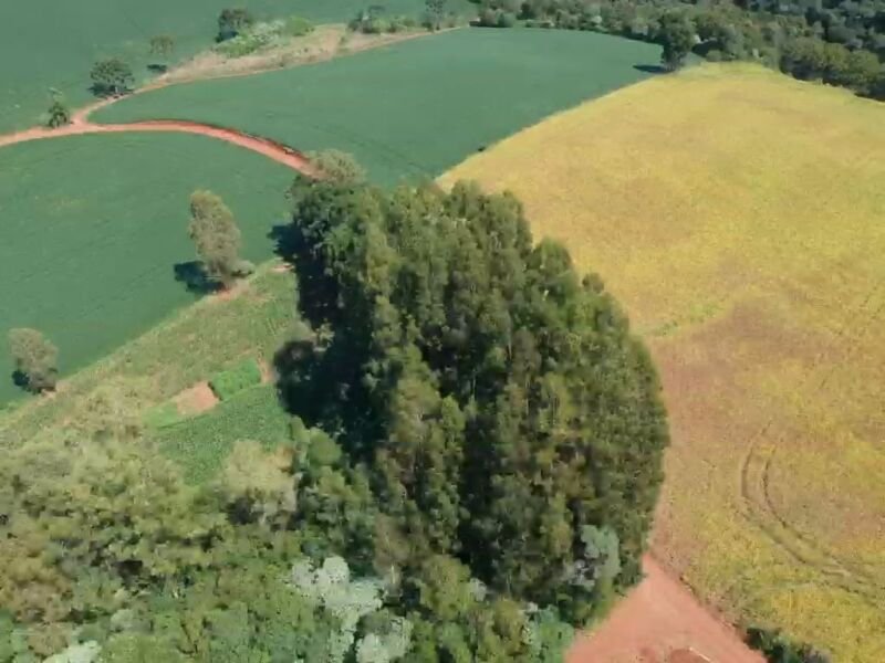 OS DIREITOS E AÇÕES DA FRAÇÃO IDEAL DE 8.410,71m² SOBRE.. em Áurea/RS - foto 6