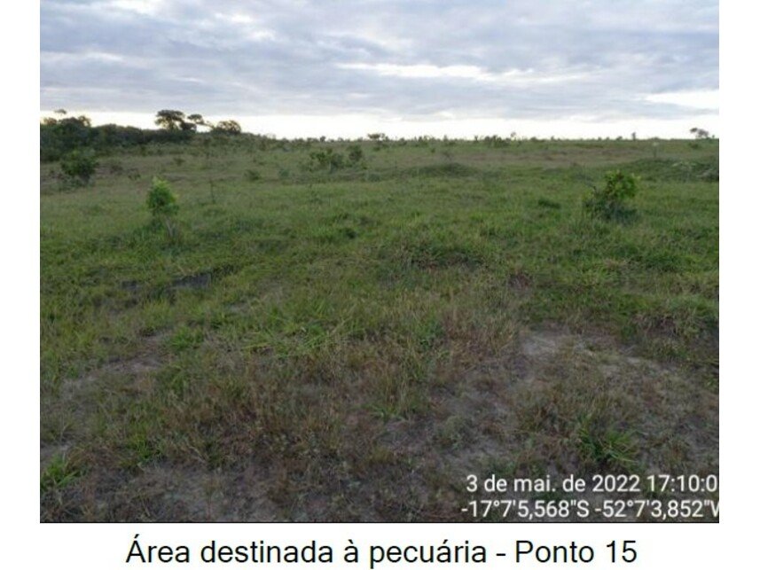 Imagem leilão