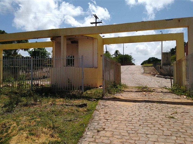 Imagem leilão