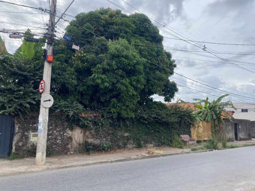 Imagem leilão