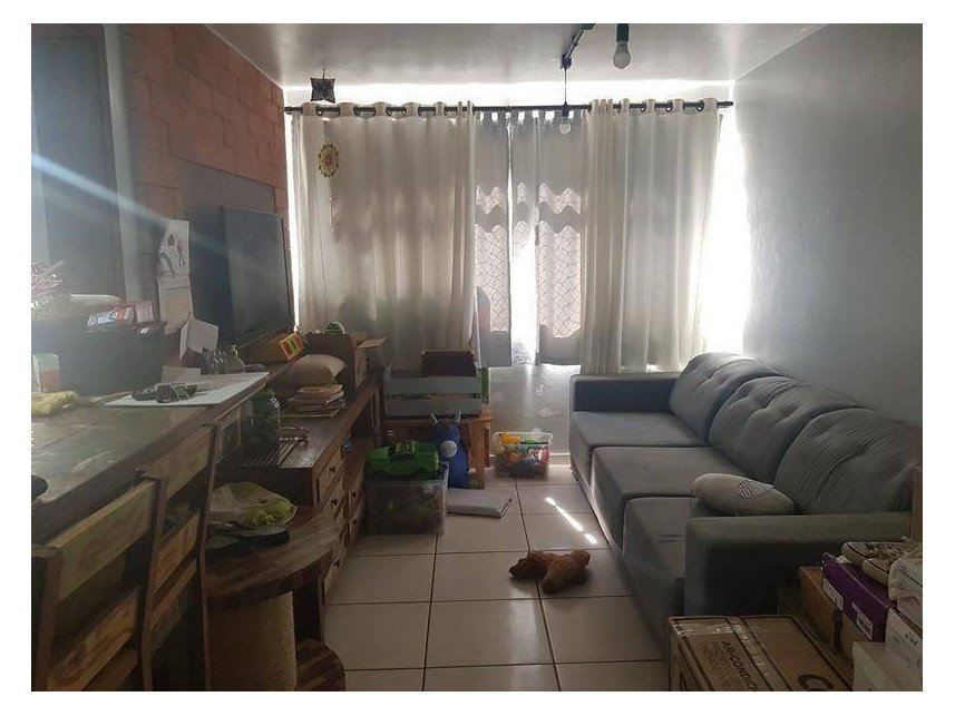Imagem leilão