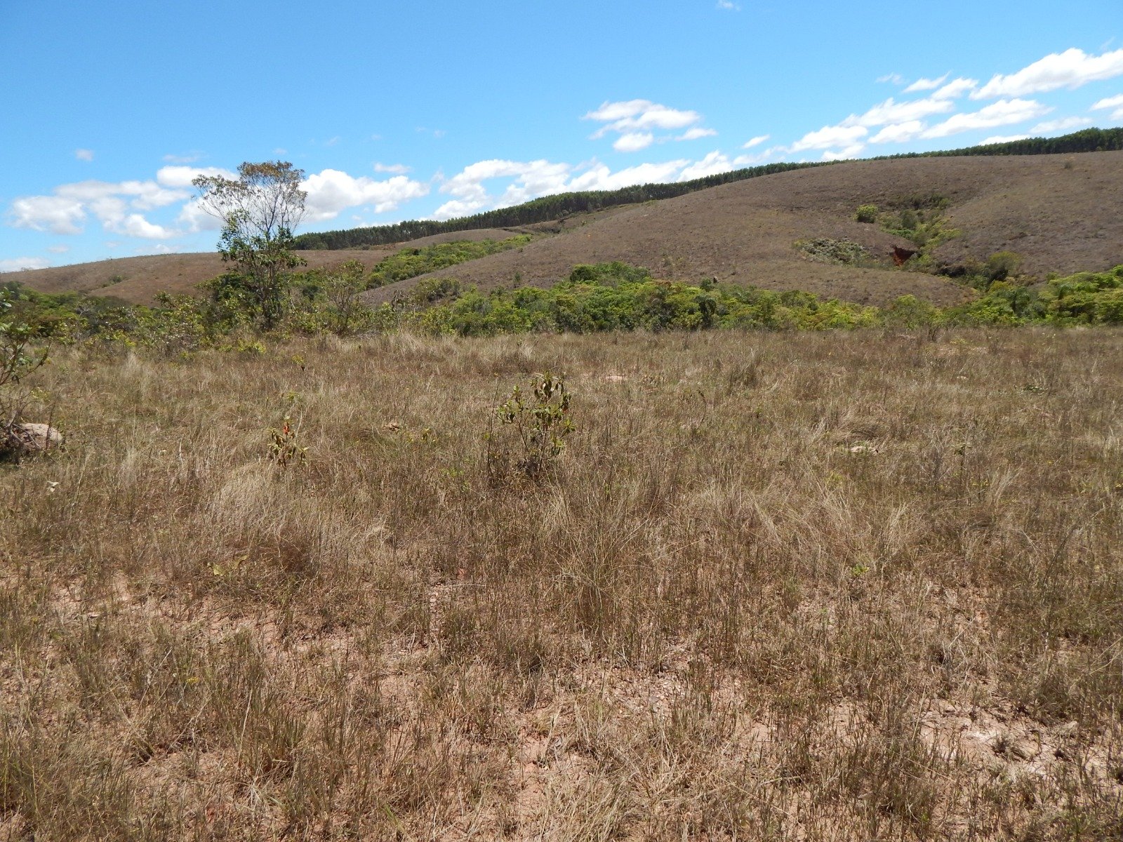 FAZENDA CAMPINAS APROXIMADAMENTE 90HA EM CRUZÍLIA /MG em Cruzília/MG - foto 13