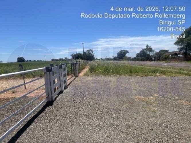 Imagem leilão