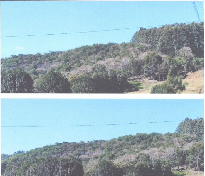 Imagem leilão