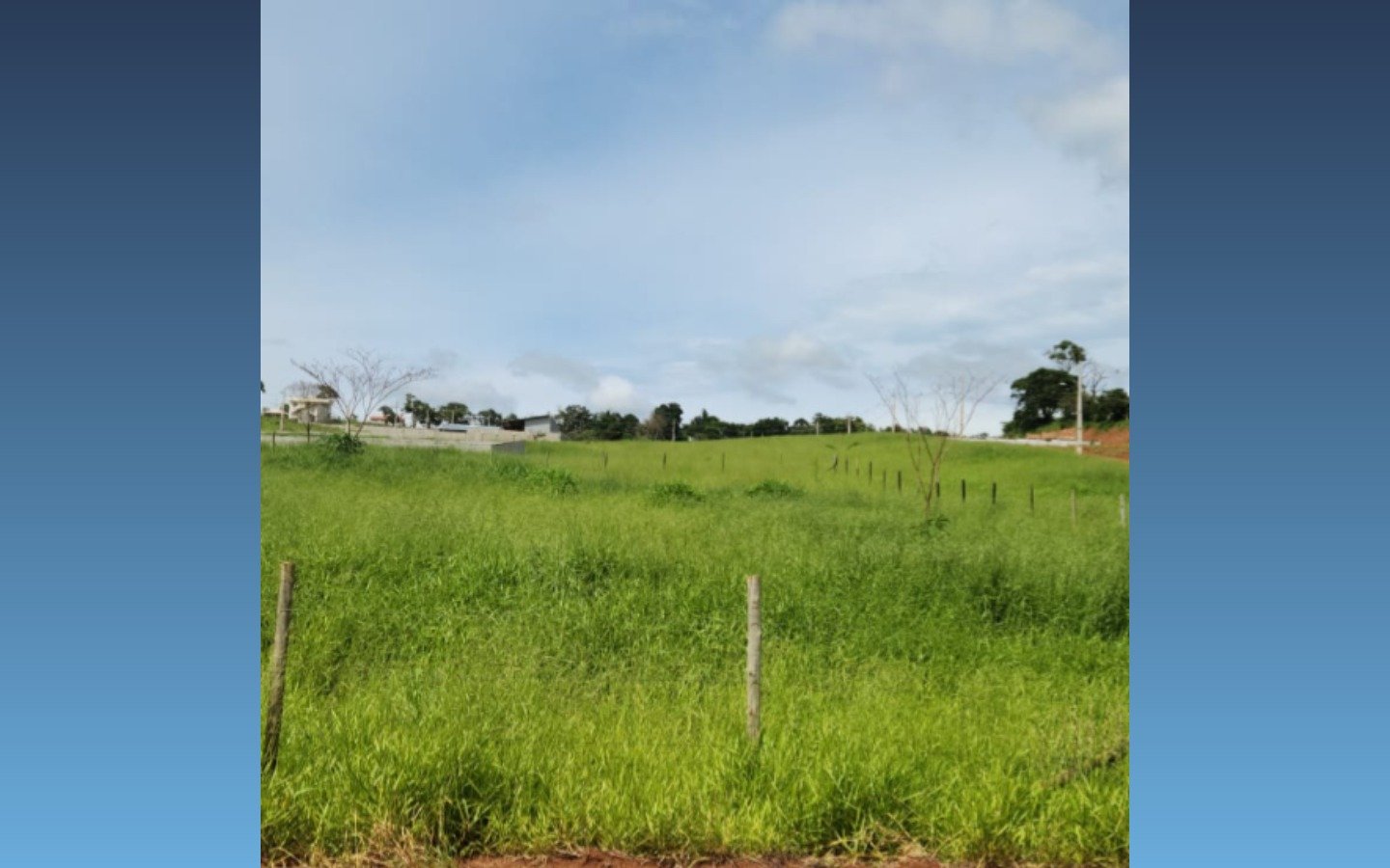 Terreno de 1.000m² — São Sebastião da Bela Vista/MG em São Sebastião da Bela Vista/MG - foto 2